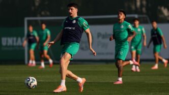 Palmeiras — foto ilustrativa