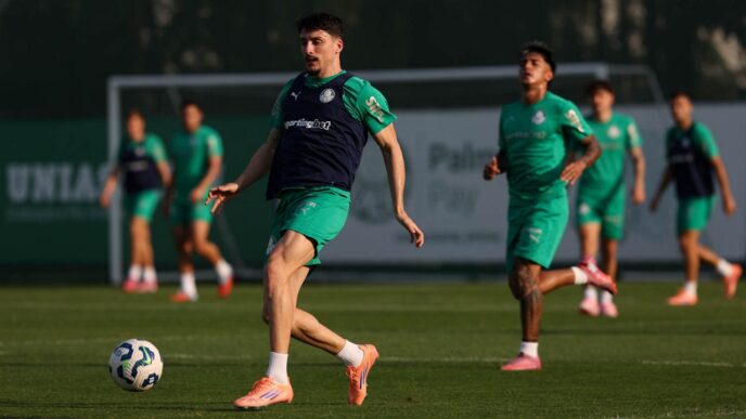 Palmeiras — foto ilustrativa