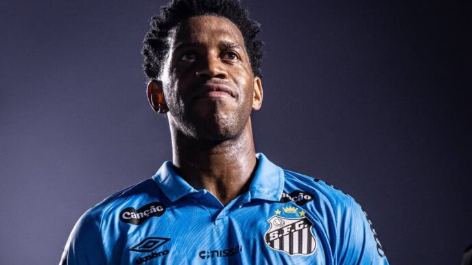 Gil se aposentou do futebol (Foto: Raul Baretta/ Santos FC)