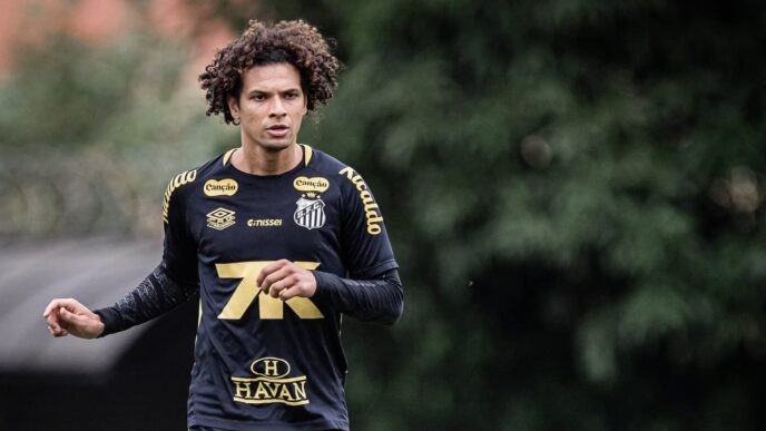 Retorno de Willian Arão ao Santos - Santos
