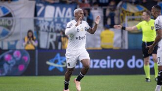Polêmica da arbitragem em Botafogo x Grêmio - Botafogo