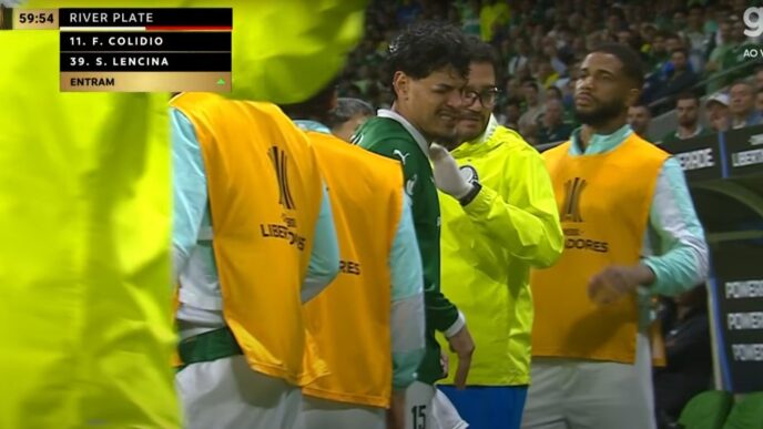 Gómez Palmeiras olho roxo - Palmeiras