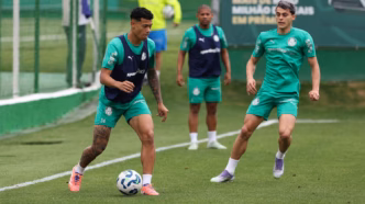 Palmeiras — foto ilustrativa