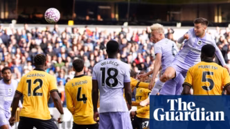 Wolves Brighton Premier League — foto ilustrativa