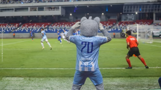 Lobo assiste a partida do Paysandu, que registra pior pontuação na Série B.