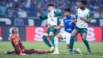 Cruzeiro e Palmeiras G6 — foto ilustrativa