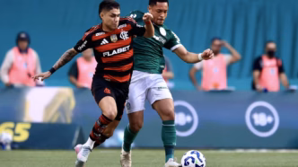 Jogadores de Flamengo e Palmeiras em campo durante partida do Brasileirão.