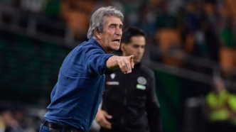 Pellegrini Betis — foto ilustrativa