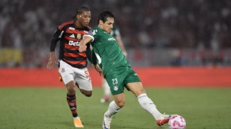 Disputa de bola entre Flamengo e Palmeiras pelo Brasileirão, com os jogadores Plata e Veiga em destaque.