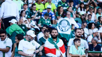 Torcida do Palmeiras em jogo do Campeonato Brasileiro, vibrando nas arquibancadas.