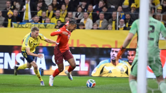 Sow Sevilla — foto ilustrativa
