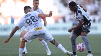 Botafogo em campo contra o Santos no Nilton Santos.