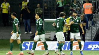 Palmeiras sem pendurados — foto ilustrativa