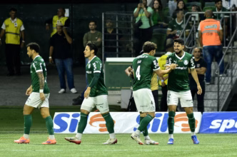 Palmeiras sem pendurados — foto ilustrativa