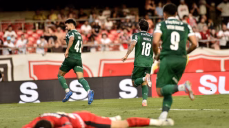 Atuações Palmeiras — foto ilustrativa