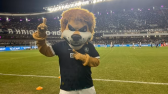 Leão, o mascote do Remo, representando a força e a torcida do clube na busca pelo acesso à Série A.